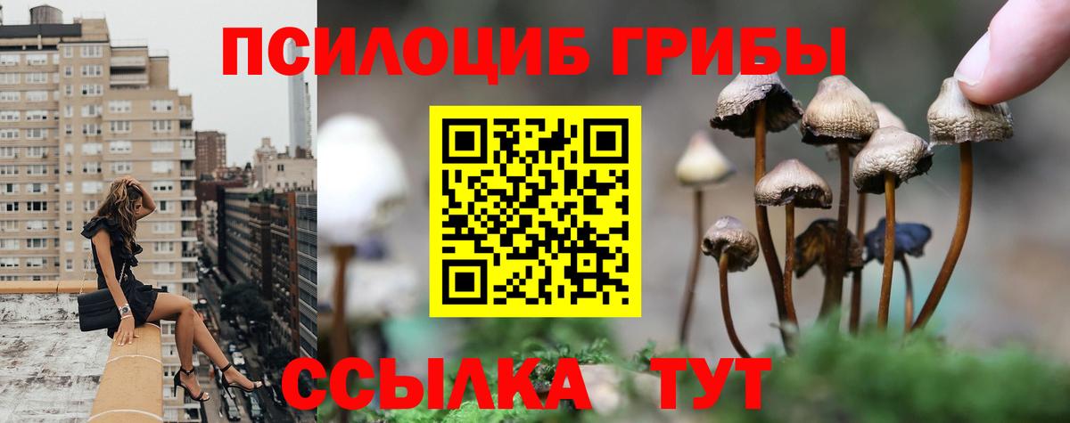 Галлюциногенные грибы Psilocybine cubensis Лосино-Петровский